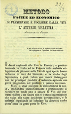 Copertina di Metodo facile ed economico di preservare e togliere dalle viti l'attuale malattia dominante in Europa