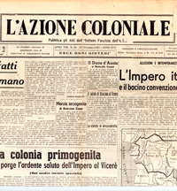 Copertina di L'azione coloniale