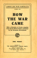 Copertina di How the war came